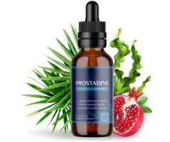 prostadine support prostate health and function